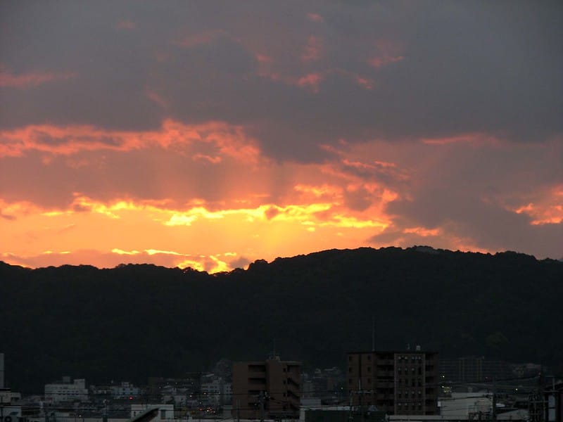 Sinh viên Mỹ 20 tuổi được tìm thấy tử vong trên núi Kyoto sau nhiều ngày tìm kiếm