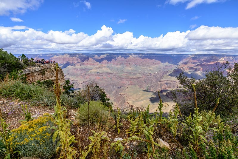 Lũ quét Grand Canyon: 2 người chết, 14 người mất tích
