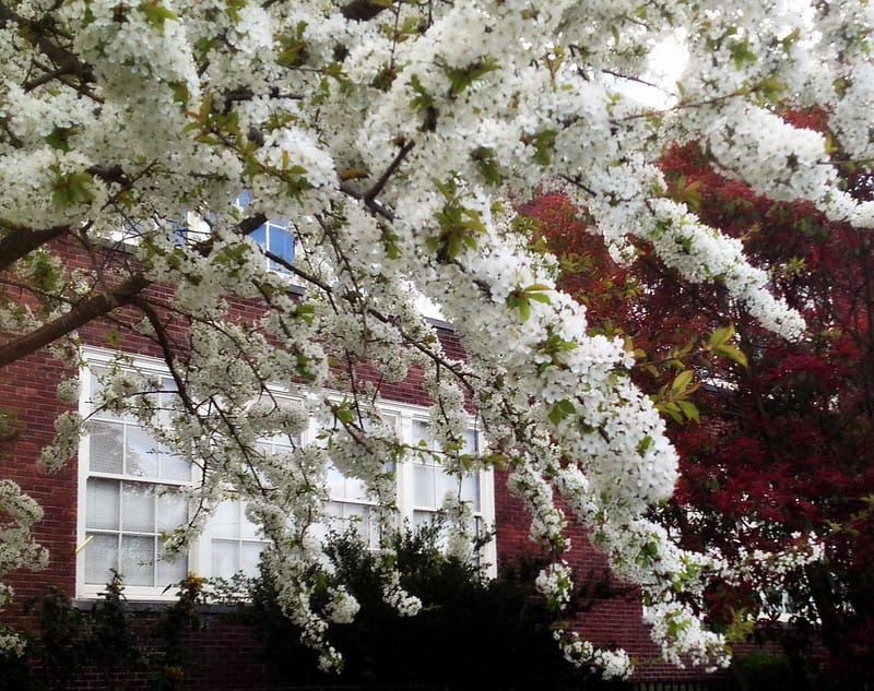 Seattle đạt thỏa thuận, tránh đình công trước ngày khai giảng
