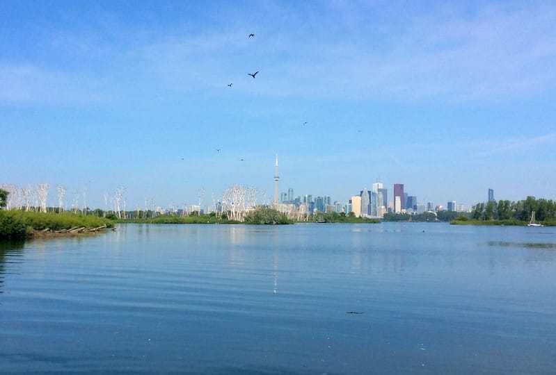Tổng thống Trump ký sắc lệnh đổi tên hồ Ontario thành Lake America