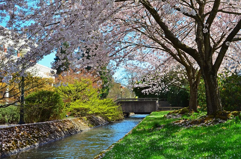 Hai đại học tư lâu đời nhất Oregon chính thức sáp nhập