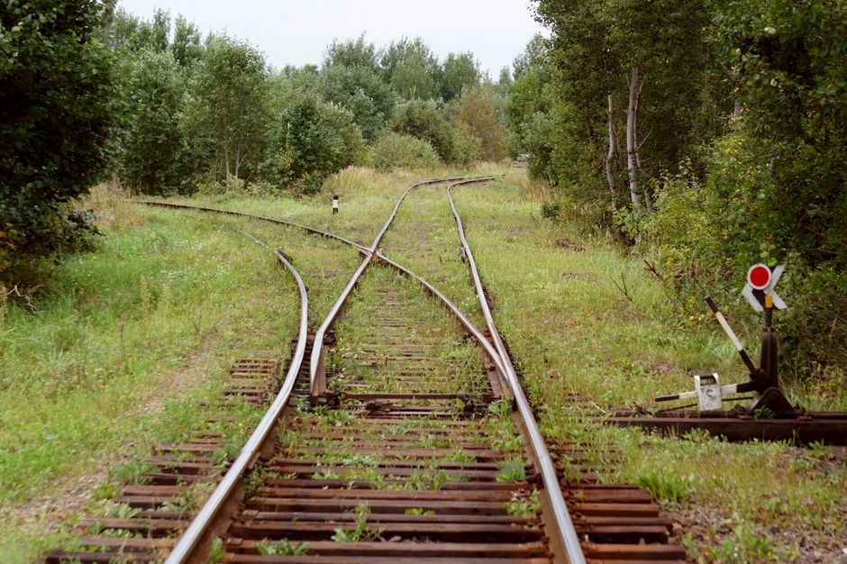 Jev và các mô hình quyết định AI bị đem ra thử bài toán xe điện