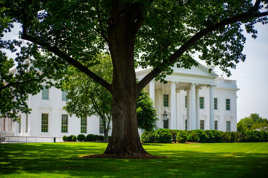 Trump Accounts vượt 70 triệu tài khoản, mở cửa nhận tặng cổ phiếu riêng lẻ