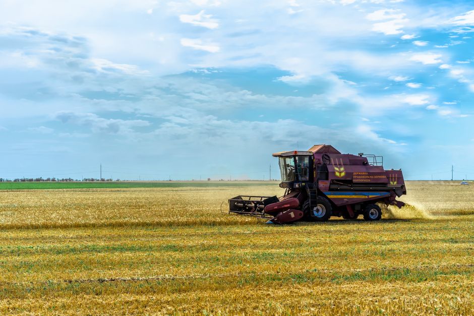 Ukraine kẹt 85 triệu tấn ngũ cốc vì Biển Đen, nông dân bỏ gieo vụ 2027